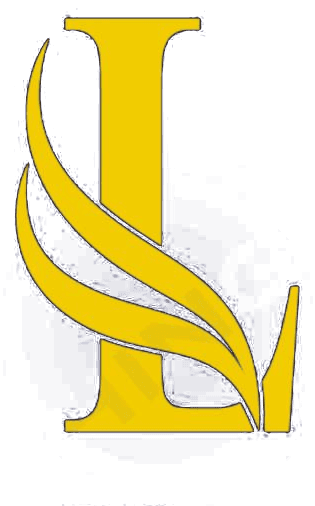 Lazfields Limited